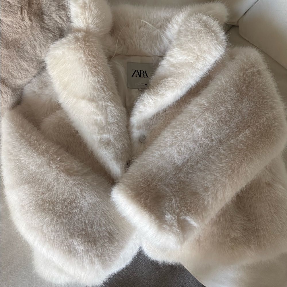 Viral Zara coat